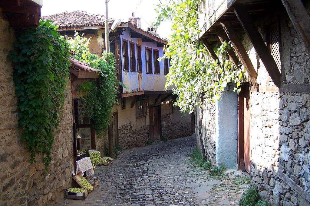 Cumalıkızık'ta sarmaşıklı taş duvarlar ve ahşap evler arasında kıvrılan arnavut kaldırımlı sokak